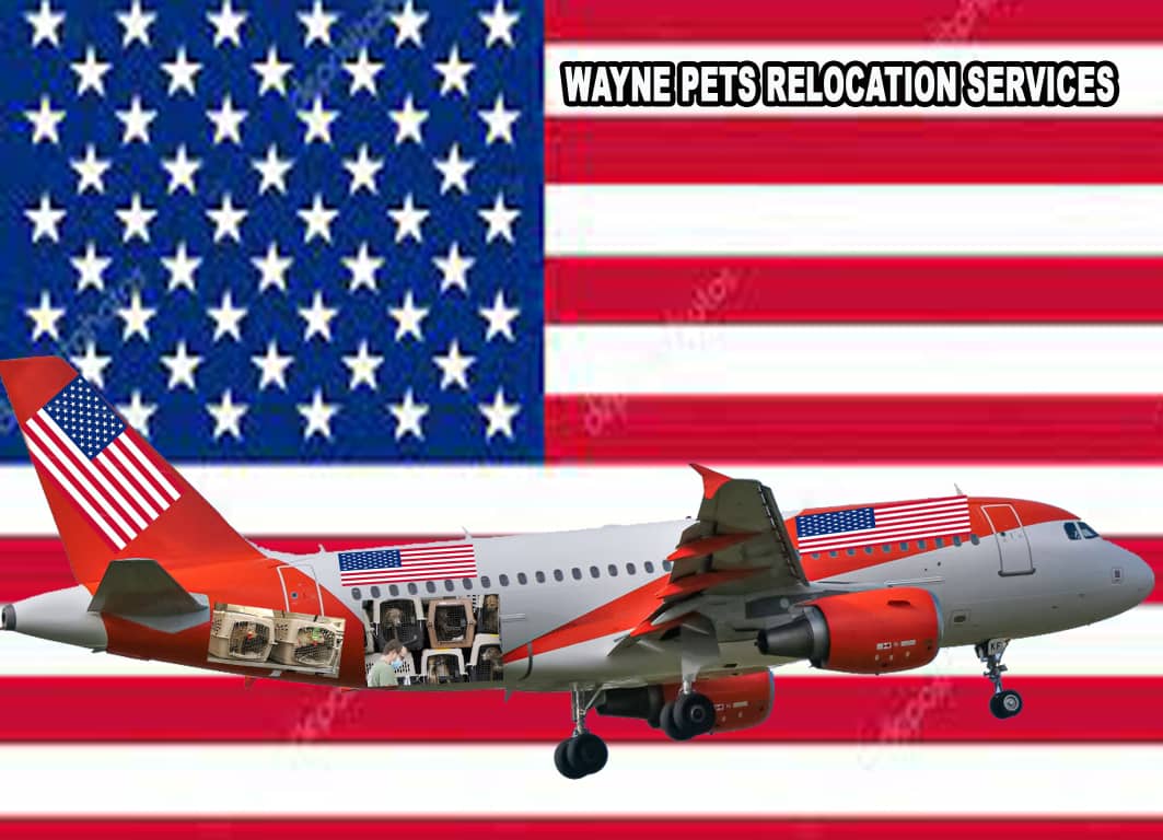 waynepetsrelocationservice